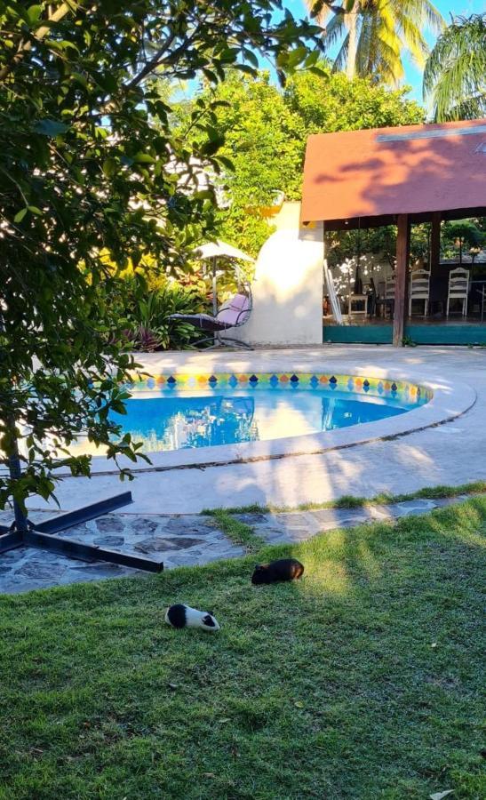 Villa Sonrisa Casa De Huespedes Лас-Терренас Екстер'єр фото